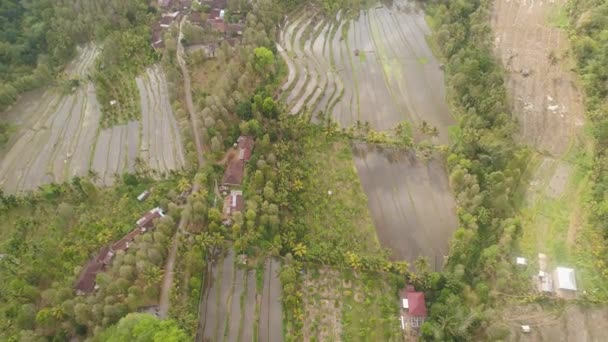 Tropische Landschaft mit landwirtschaftlichen Flächen in Indonesien — Stockvideo