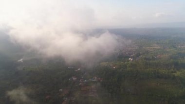 Endonezya 'da tarım arazileri ve köy Bali.