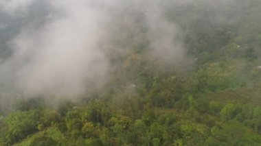 Endonezya 'da tarım arazileri ve köy Bali.