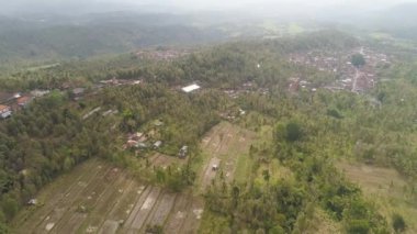 Endonezya 'da tarım arazisi olan tropikal araziler