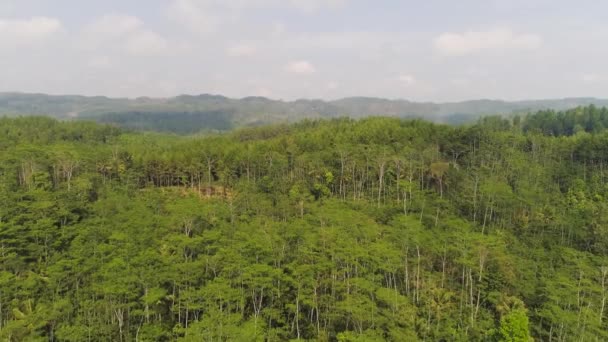 Paisaje tropical selva tropical y montañas — Vídeo de stock