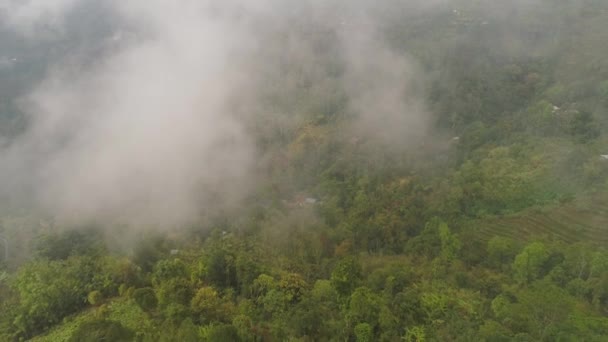 terres agricoles et village Bali, Indonésie.