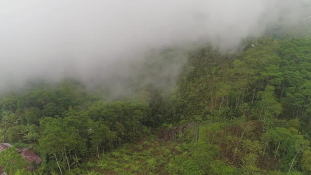 Fazendas e aldeia Bali, Indonésia. — Vídeo de Stock