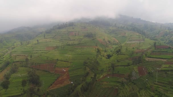 Paisaje tropical con tierras de cultivo en las montañas — Vídeos de Stock