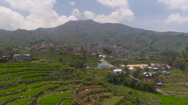 Montaña paisaje tierras agrícolas y aldea Java Indonesia — Vídeo de stock