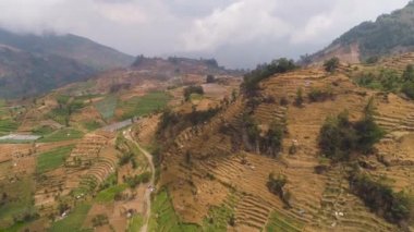 Dağlarda tarım arazileri olan tropikal manzaralar