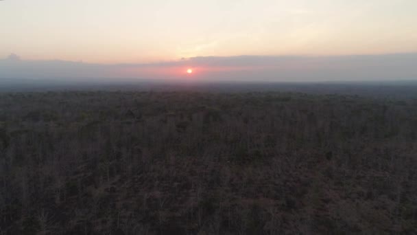 在稀树草原上空落日 — 图库视频影像