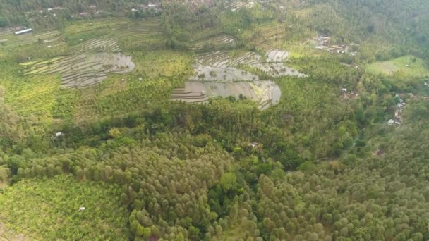 Paesaggio tropicale con terreni agricoli in indonesia — Video Stock