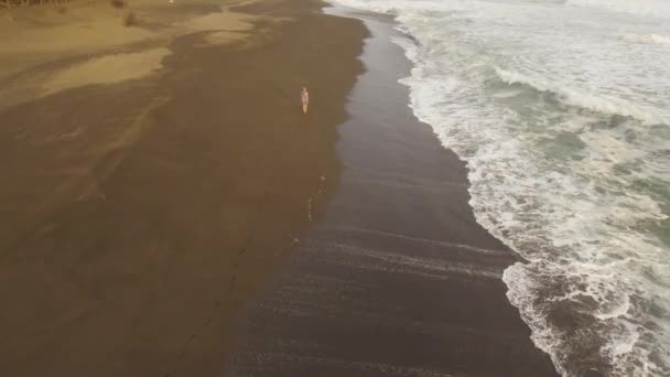 Ragazza a piedi sulla spiaggia — Video Stock