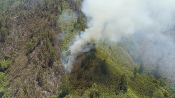 feu de forêt dans les montagnes