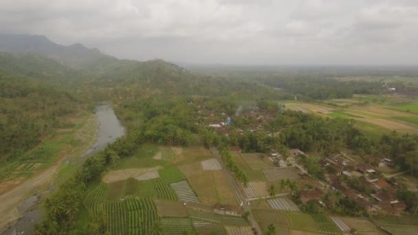 Paisaje tropical río, tierras de los agricultores — Vídeos de Stock