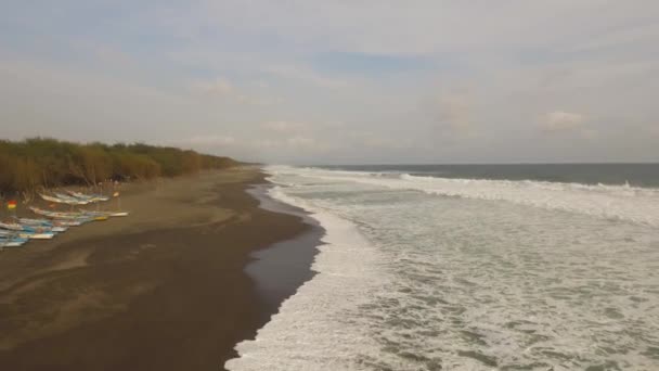 Piaszczysta plaża w pobliżu oceanu — Wideo stockowe