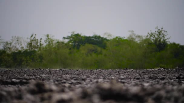 Volcan de boue Bledug Kuwu, Indonésie