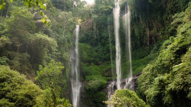 Güzel tropik şelale Bali, Endonezya.