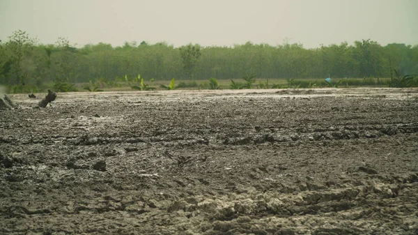 Mud volcano Bledug Kuwu, Indonesia — Stock Photo, Image