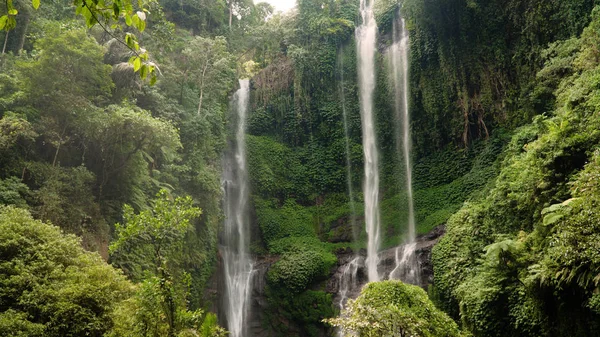 Beautiful tropical waterfall Bali,Indonesia.