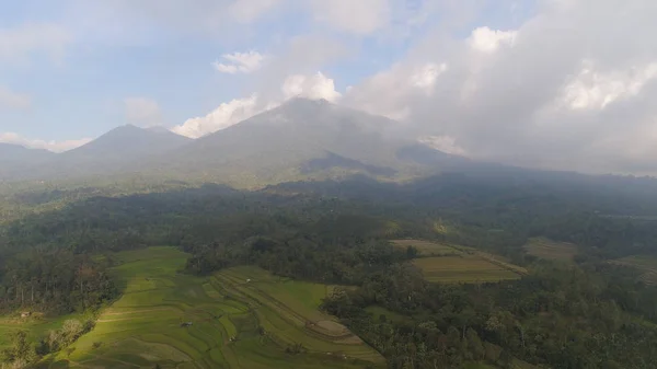 Endonezya 'da tarım arazileri ve köy Bali. — Stok fotoğraf