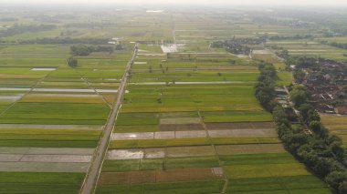 Endonezya 'da pirinç tarlası ve tarım arazisi