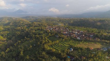 Endonezya 'da tarım arazisi olan tropikal araziler