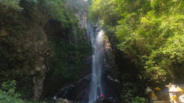 Güzel tropik şelale.