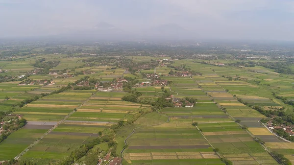 Rizsföldek és mezőgazdasági földterületek Indonéziában — Stock Fotó