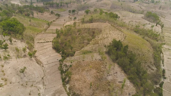 Agrarlandschaft in Indonesien. — Stockfoto