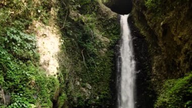 Güzel tropik şelale.