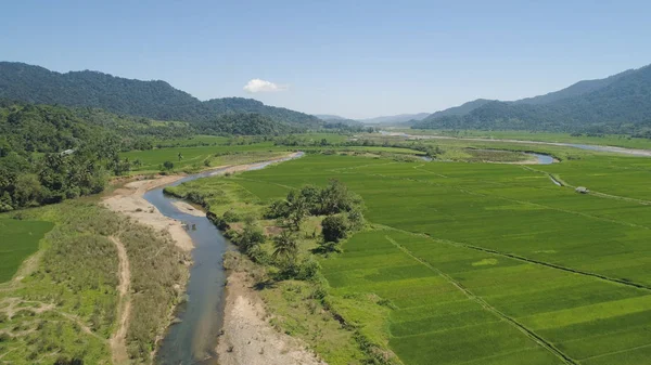 Valle de la montaña con tierras de cultivo en Filipinas — Foto de Stock