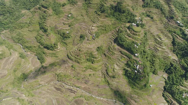 高山上的稻田.菲律宾、 Batad 、 Banaue. — 图库照片