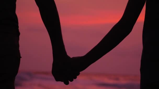 Silhouette of couple on the beach — Stock Video