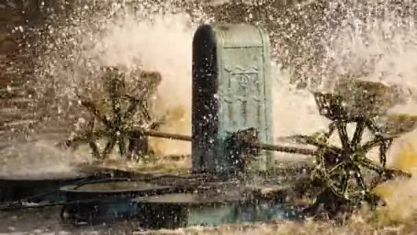 élevage de crevettes en indonésie