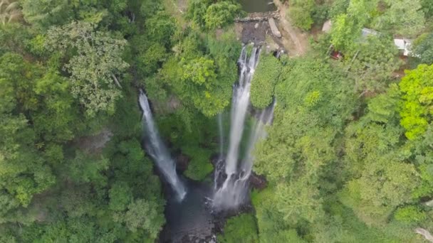 Piękny tropikalny wodospad Bali, Indonezja. — Wideo stockowe