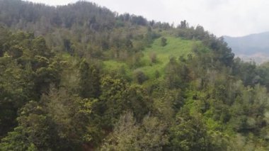 Dağ manzarası Jawa Adası, Endonezya.