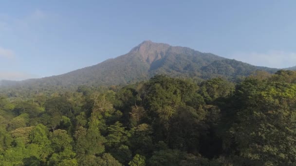 Tropická krajina deštný prales a hory — Stock video