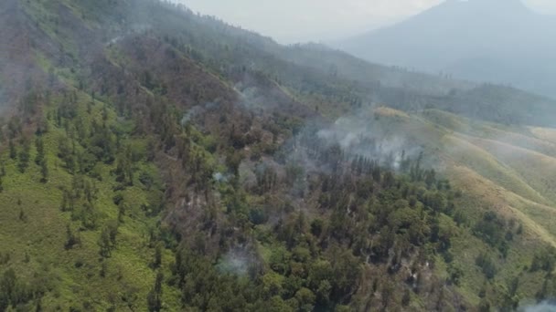 Лісова пожежа в горах — стокове відео