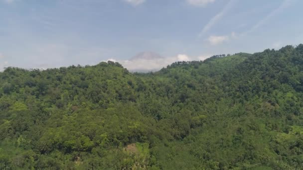 인도네시아, 자와 섬 의산 풍경. — 비디오
