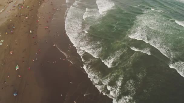 Sandy beach near the ocean Yogyakarta — Stock Video