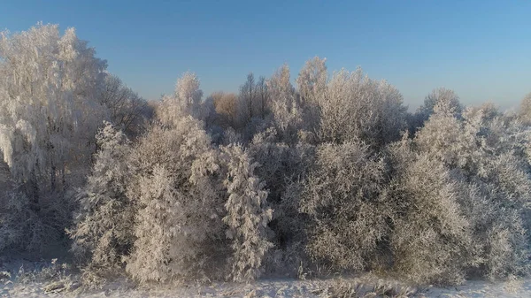 Paisaje invernal en el campo — Foto de Stock