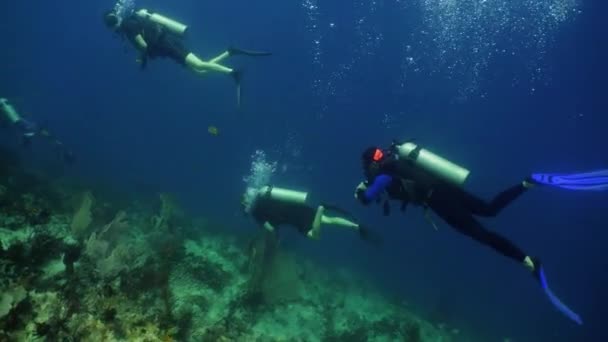 Buceadores bajo el agua . — Vídeos de Stock