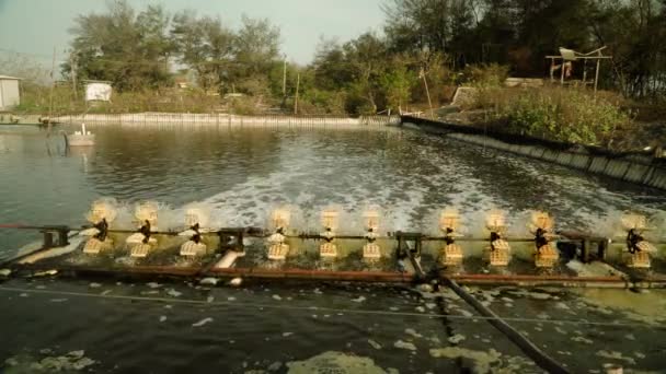 对虾养殖与曝气泵的氧气附近的海洋 养虾场水产养殖业务远销国际市场 印度尼西亚 Java — 图库视频影像