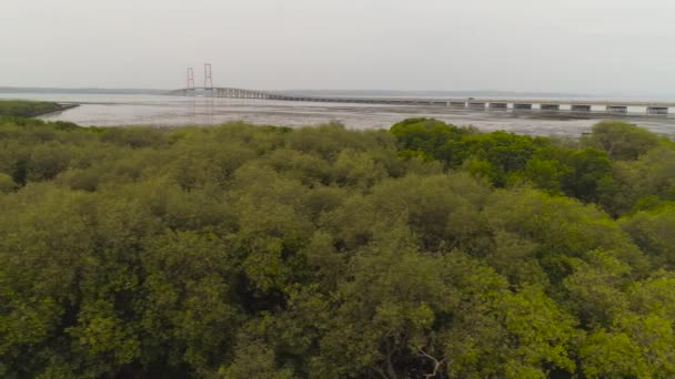 Ponte de cabo de suspensão em surabaya — Vídeo de Stock
