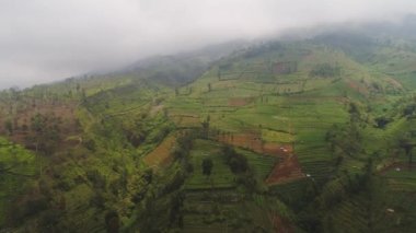Dağlarda tarım arazileri olan tropikal manzaralar
