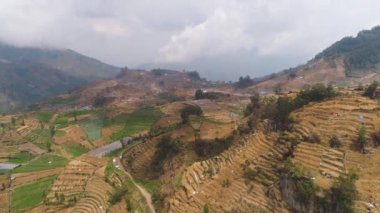 Dağlarda tarım arazileri olan tropikal manzaralar
