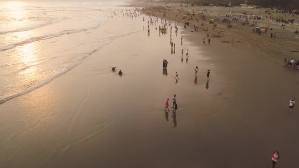 Piaszczysta plaża w pobliżu oceanu Yogyakarta — Wideo stockowe