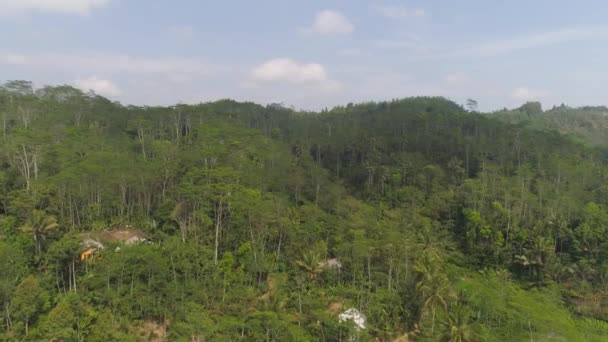Tropikalny krajobraz lasy deszczowe i góry — Wideo stockowe