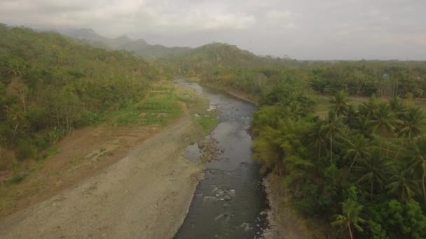 Trópusi táj folyó, mezőgazdasági termelők földje — Stock videók