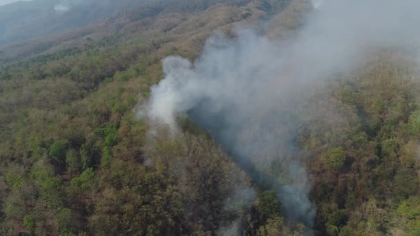 feu de forêt dans les montagnes