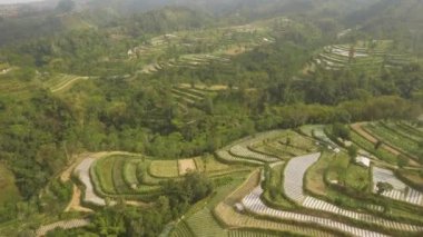 Dağlarda tarım arazileri olan tropikal manzaralar