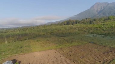 Tarım alanları Highlands, Endonezya.