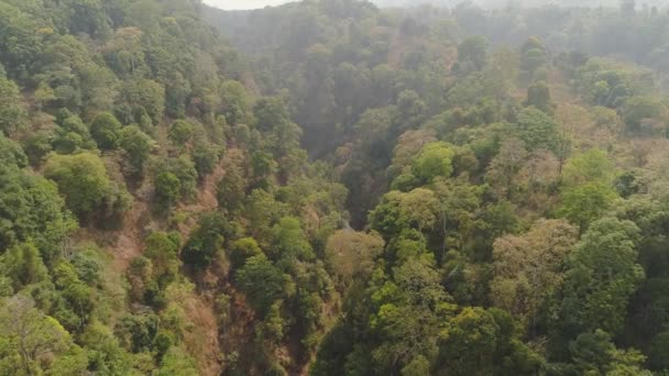 Paisaje tropical selva tropical y montañas — Vídeo de stock
